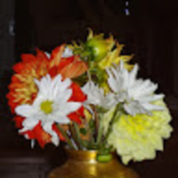 Meet your Posher, Sheri - Picture 1 of 1